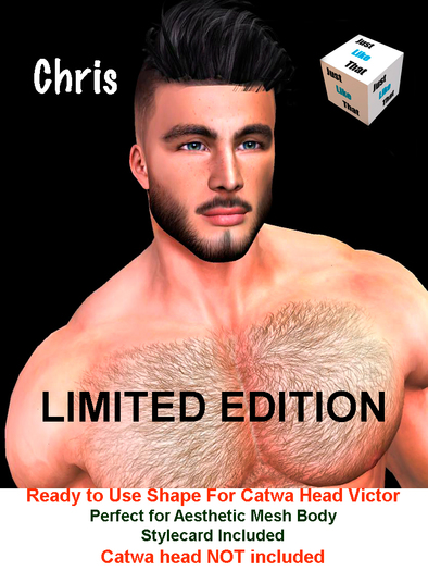 Second Life Marketplace - [JLT] CHRIS SHAPE VICTOR HEAD - AESTHETIC ...