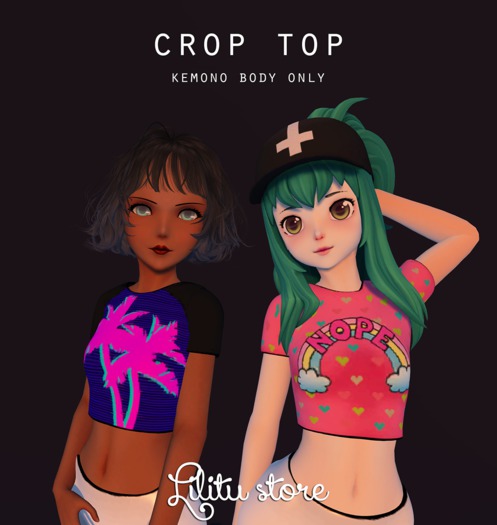 Crop Top by Lilitu Store