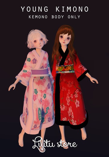 Young Kimono - Lilitu Store