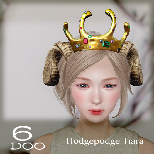 *6DOO* Hodgepodge Tiara