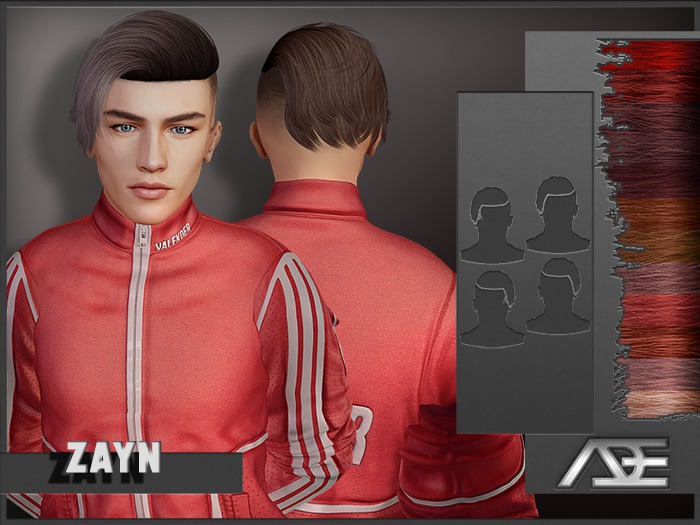 Ade - Zayn Hairstyle (Reds)