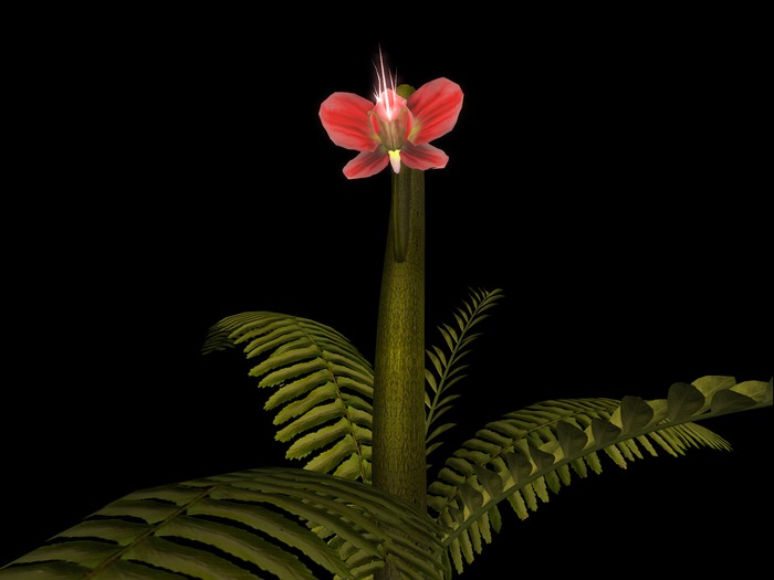 {Papillon} RED Alien Orchid