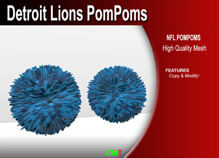 SM - Detroit Lions Pompoms (box)