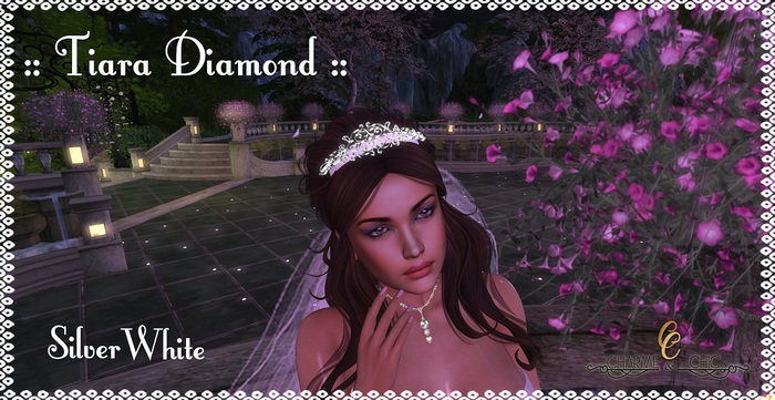 ♥♥  Charm & Chic ♥♥  Tiara Diamond Silver