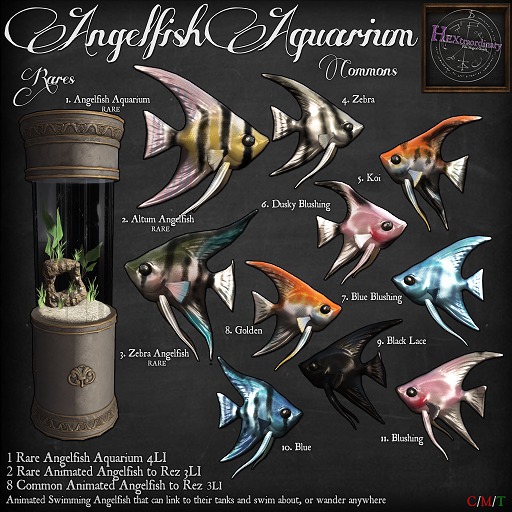 2. *HEXtraordinary* Altum Angelfish - RARE