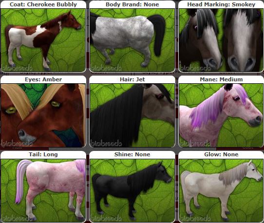 BB Pony M Box
