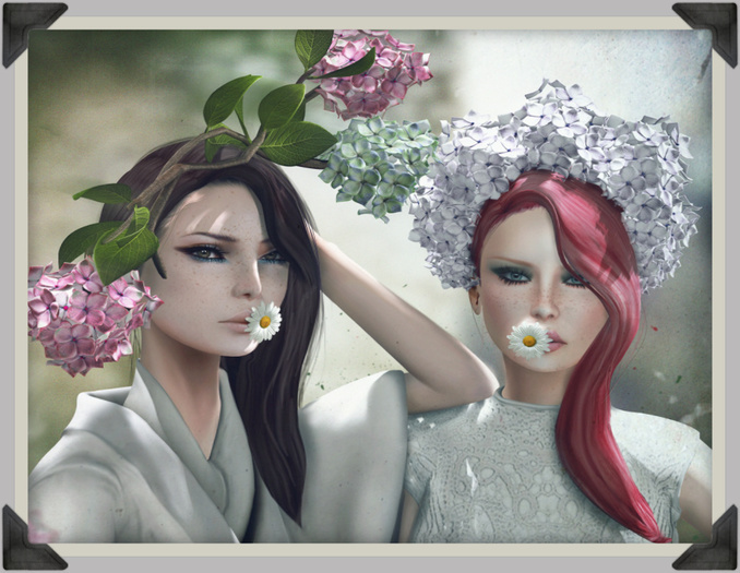 *LODE* Head Accessory - Hortensia Double [pink]
