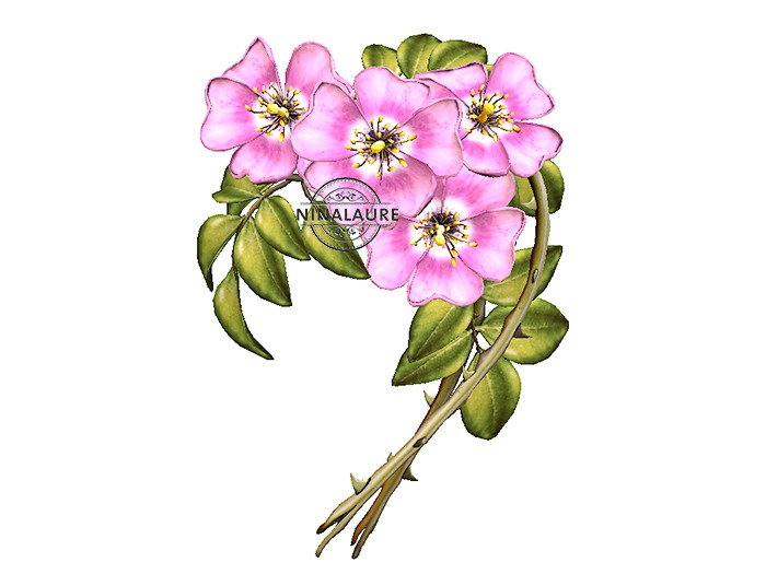 *LODE* Head Accessory - Wild Roses II Crown [pink]