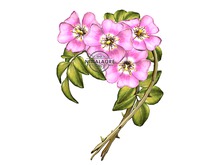 *LODE* Head Accessory - Wild Roses II Crown [pink]