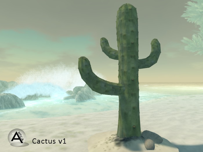 ANTICA Cactus v1