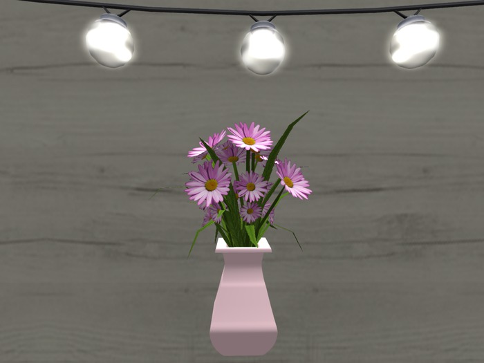 Charmed by You-Pink Daisy Flowers