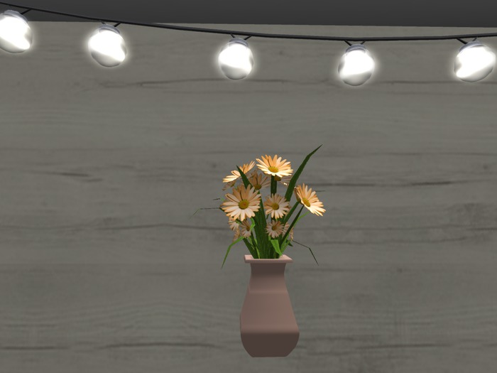 Charmed by You-Apricot Daisy