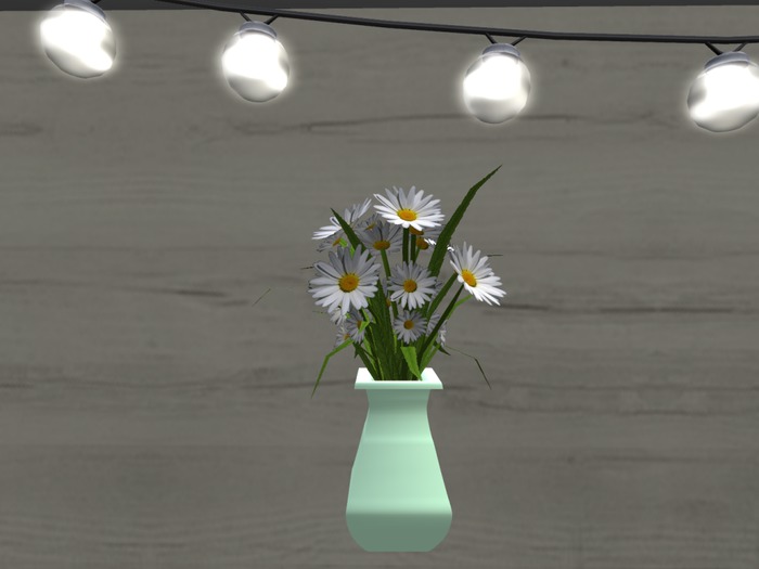 Charmed by You-White Daisy