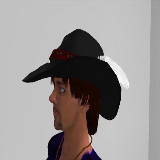 Black cowboy hat/feather