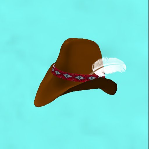 Brown cowboy hat/feather