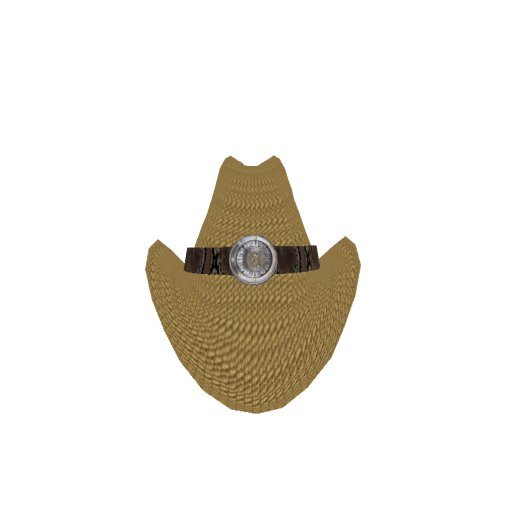 Tan cowboy hat/buckle
