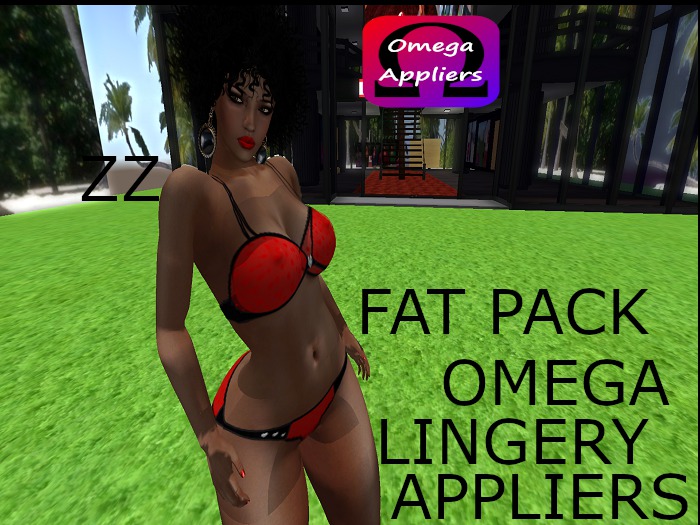 omega  appliers cara valantine  lingery
