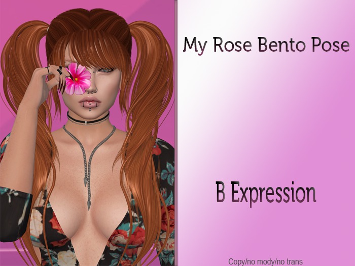 B Expression My Rose Bento Pose BOX