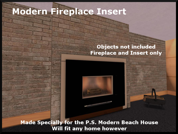 {P.S.} Modern Fireplace Insert