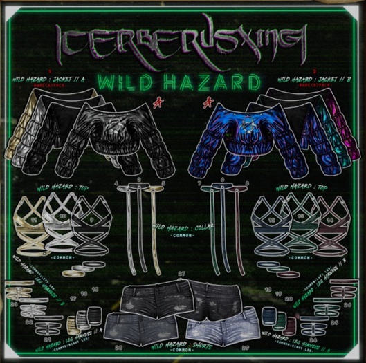2. [CX] Wild Hazard Jacket - B ( Maitreya ) RARE