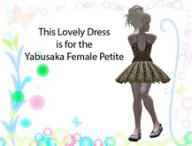 Yabusaka Female Petite summer leopard print fun dress