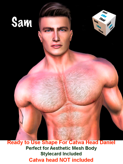Second Life Marketplace - [JLT] - SAM SHAPE CATWA DANIEL - AESTHETIC