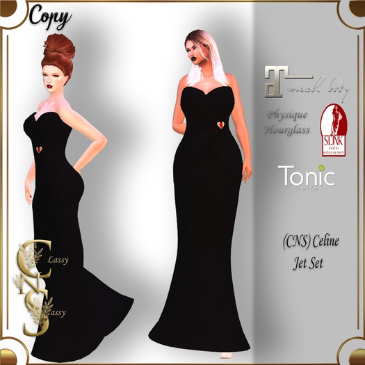 (CNS) Celine gown Jet Set