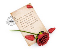 Ariskea[amour]. Mr Darcy letter