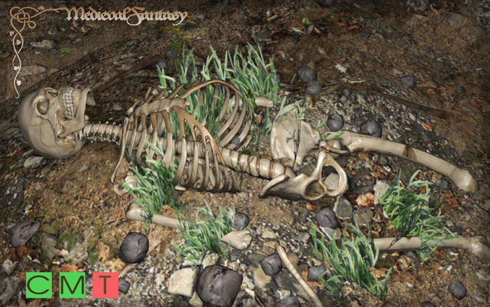[MF] Mesh ancient skeletal remains (boxed)