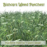 T-Spot Mesh - Bishop's Weed Patches - Full Perm - LI=0.5-0.8