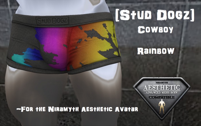[Stud Dogz] Boxers - Cowboy - Rainbow