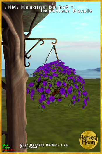 .HM. Hanging Basket - Impatiens Purple [Add and Click]