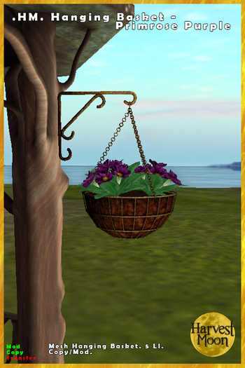 .HM. Hanging Basket - Primrose Purple [Add and Click]