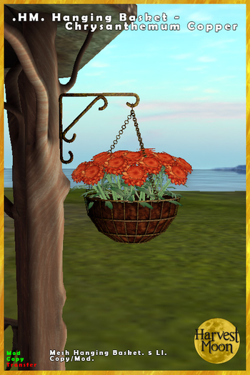 .HM. Hanging Basket - Chrysanthemum Copper [Add and Click]