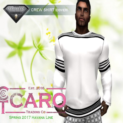 *CTC* LONG-SLEEVE CREW (DOVER WHITE)[BAG]