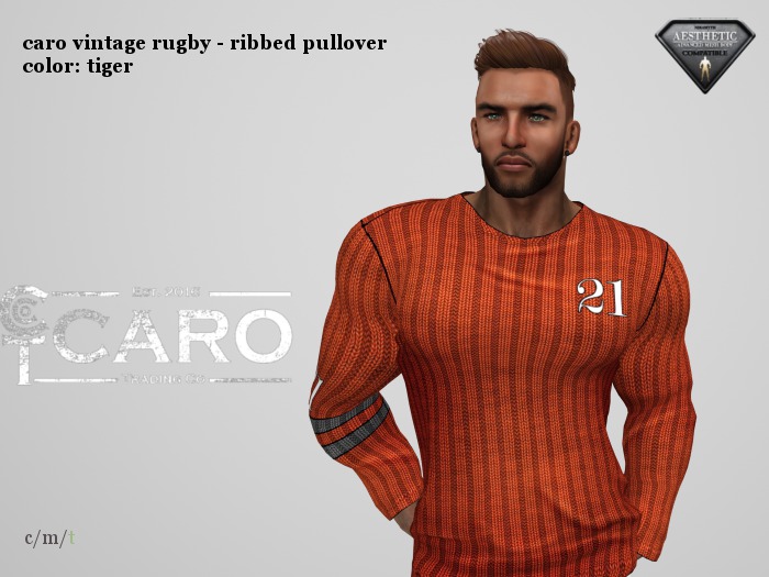 [CARO] Vintage Rugby Ribbed Pullover, Tiger [B]