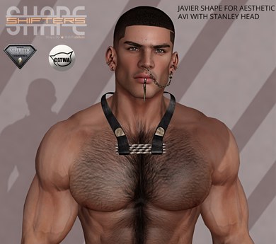 Second Life Marketplace - [SHAPEshifters] JAVIER SHAPE FOR AESTHETIC ...