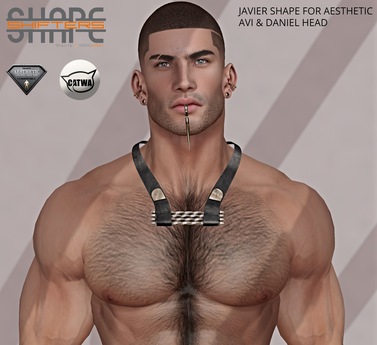 Second Life Marketplace - [SHAPEshifters] JAVIER SHAPE FOR AESTHETIC ...