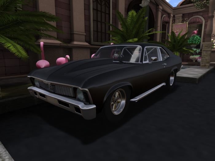 Raccoon Racing - Vamonos Classic