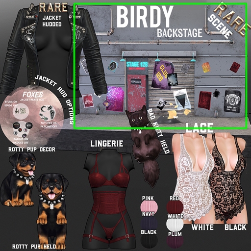 Birdy - Backstage - Scene RARE