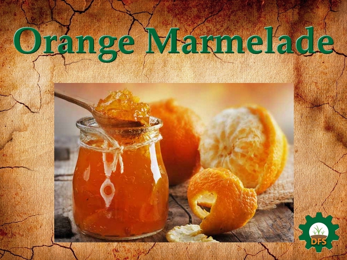 Second Life Marketplace - DFS Texture Orange Marmelade
