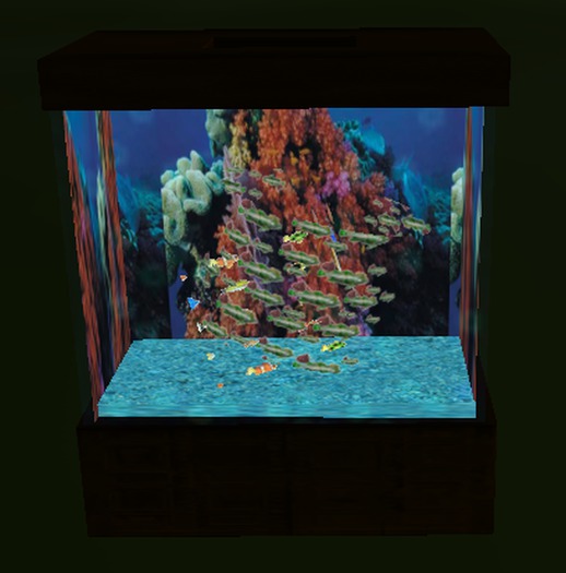 Tiny but elegant Aquarium