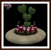 Valentines - Hearts Succulent Plants