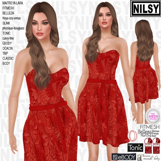 RED LACE DRESS,ALL BODIES