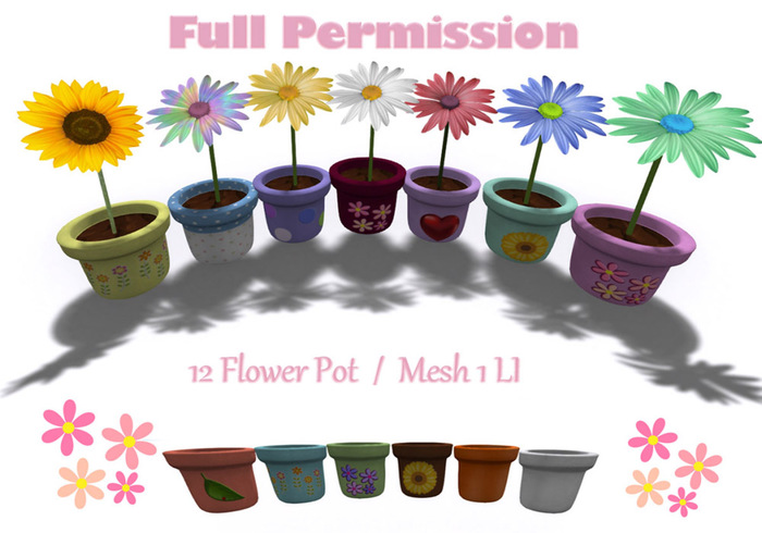 [ Full Perm ] 12 Pot Daisy