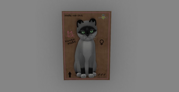 KittyCatS Box - New Born Kitten