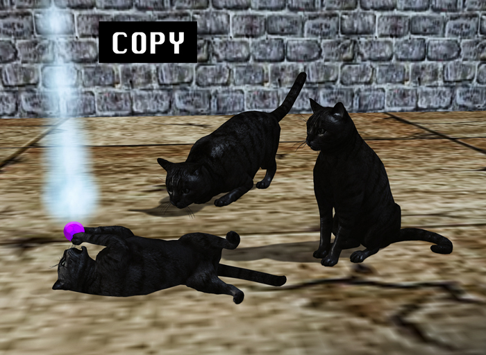 DiMi's Bag - Cats (1-2-3)