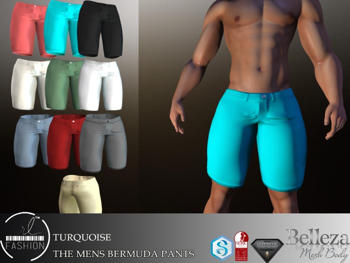 The Mens Bermuda Pants Turquoise