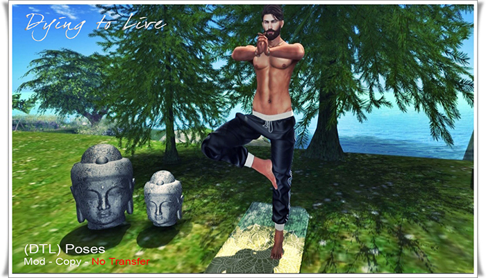 DTL THE YOGA GUY - MP