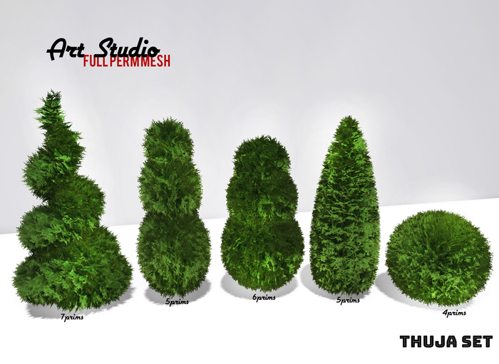Art Studio.FULL PERM - Thuja Set